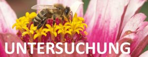 Honigprämierung samt Verkostung @ Schutzhaus am Neugebäude | Wien | Wien | Österreich