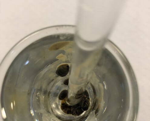 Bienenuntersuchung 2020
