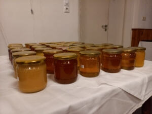 Das Bild zeigt einen Tisch mit 50 Honiggläsern. Diese enthalten Blüen-, Wald- und Cremehonig und wurden zur Honigprämierung 2023 eingereicht.